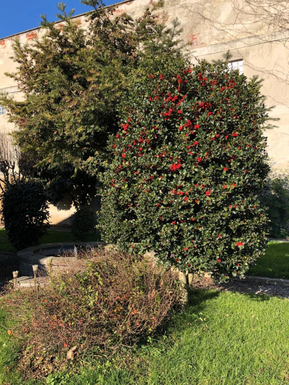 L'Ago Nel Pagliaio Appartement Turbigo Buitenkant foto